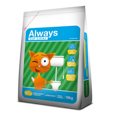 Always 3X Action Areia Aglomerante para gatos